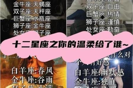 十二星座明星闪耀榜单，谁是你心中的璀璨之星？