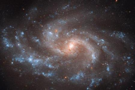 周子南命理：帮助你精准预测未来的命运密码