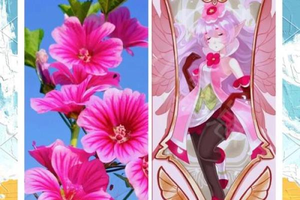 十二星座花精灵：揭秘星座花语里的神秘力量