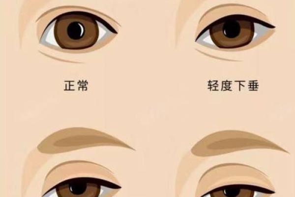 重拾青春,揭秘抬头纹面相的神秘魅力 重拾青春,揭秘抬头纹面相的神秘魅力