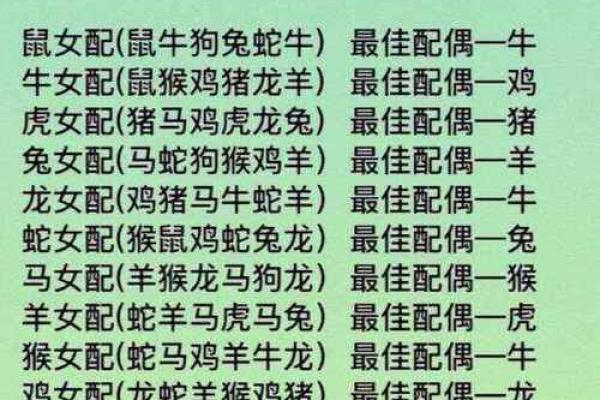 生肖配对指南：找到你的最佳生肖伴侣