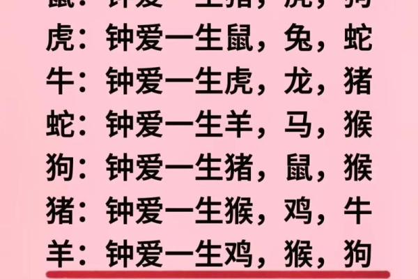 生肖配对指南：找到你的最佳生肖伴侣