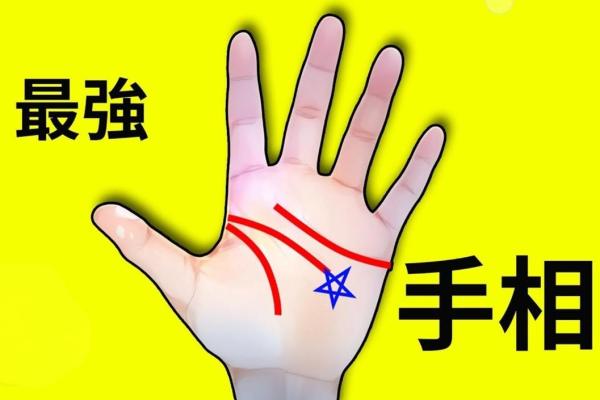 揭秘:手相泄露天机,被别人看去竟然如此要紧 揭秘:手相泄露天机,被别人看去竟然如此要紧