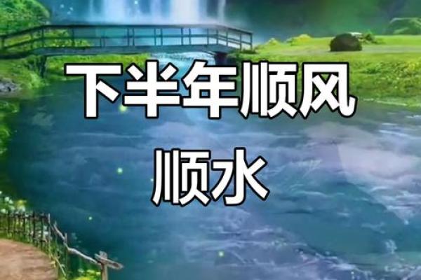 金猪翻身：1981年甲子年运势大揭秘