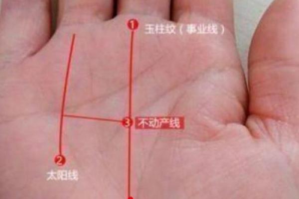揭秘手相乾宫破祖纹:揭秘祖先命运之谜,手相大师教你掌握命运脉搏 揭秘手相乾宫破祖纹:揭秘祖先命运之谜,手相大师教你掌握命运脉搏