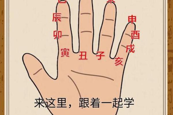 手相揭秘：命运之谜，一掌之间究竟准不准？