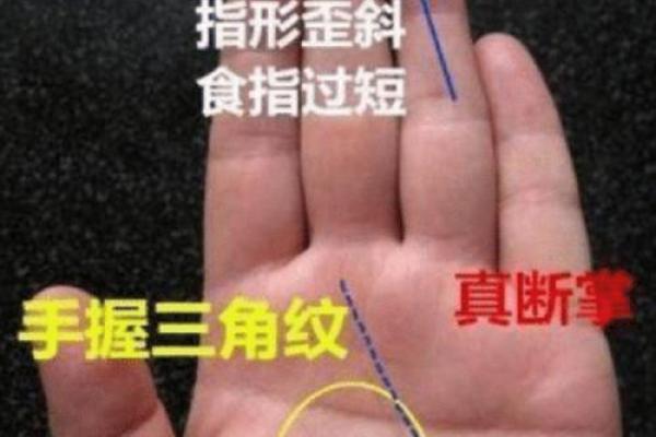 手相揭秘：命运之谜，一掌之间究竟准不准？
