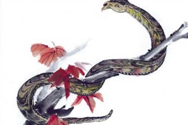 测我今生命格揭秘：你的命途如何？