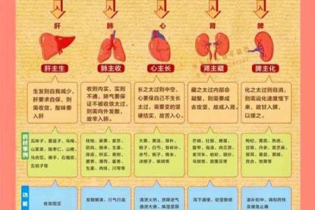 悦字五行解读：如何根据五行理论找到内心的平衡