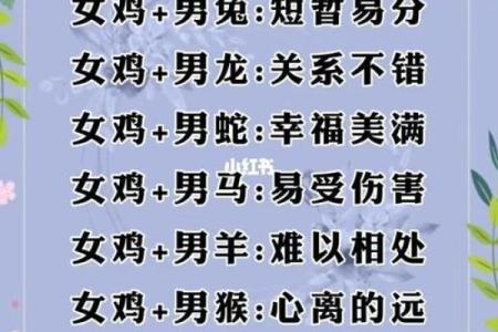 十二生肖姻缘之谜：揭秘生肖配对幸福密码