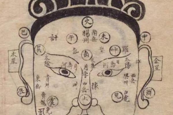 神秘面相解码:揭秘变平面相背后的惊人秘密 神秘面相解码:揭秘变平面相背后的惊人秘密