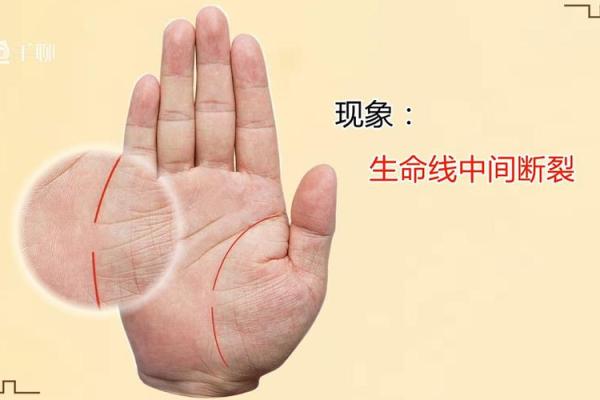 手相揭秘：生命线分段大揭秘，揭秘命运转折点