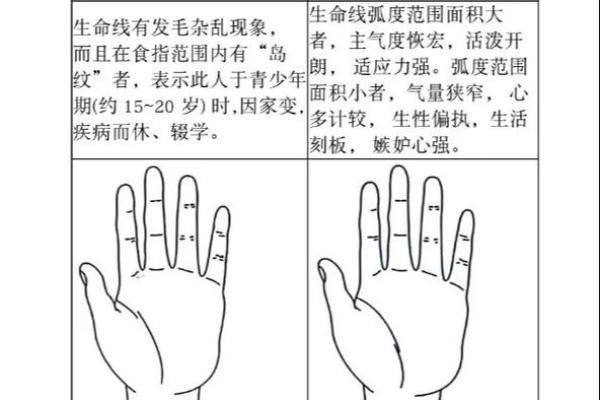 手相揭秘：生命线分段大揭秘，揭秘命运转折点