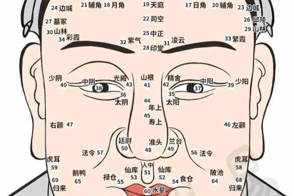 一眼看透财运，揭秘面相外财绝学
