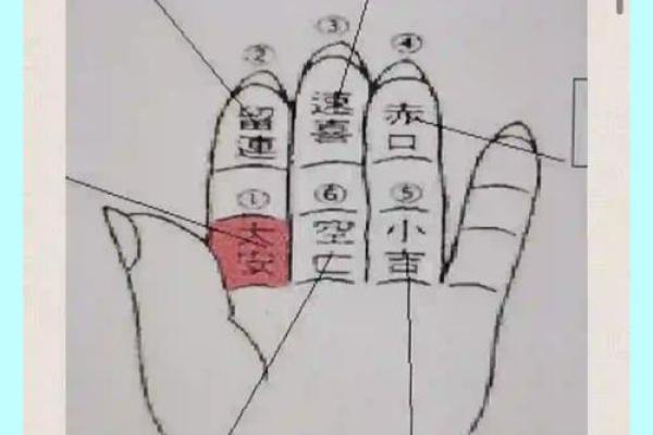 大六壬金口诀排盘全揭秘，快速入门必学的核心要领