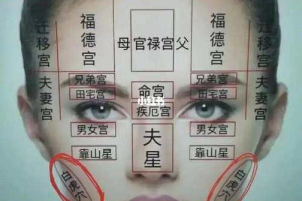 面相揭秘：五官之间的神奇奥秘，一眼看透命运走势