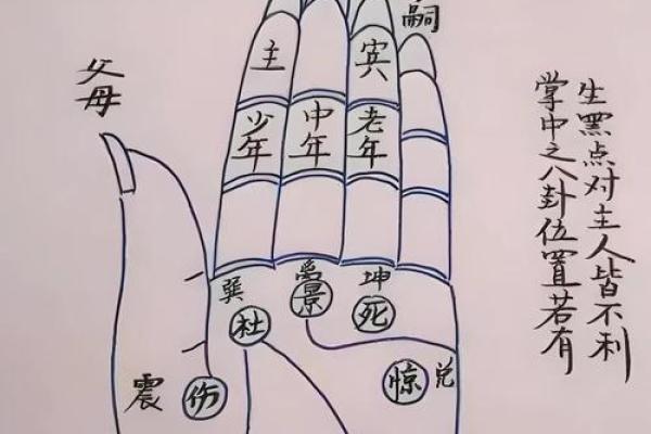 免费看手相大揭秘一招解锁你的运势秘密