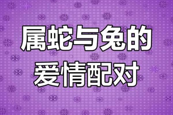 兔男虎女携手，揭秘最匹配的婚姻组合