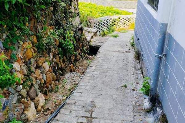 三僚村：揭秘千年风水秘境，带你领略神秘自然之力