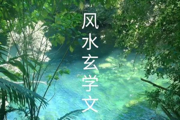 破解风水之谜：让你的家宅风生水起