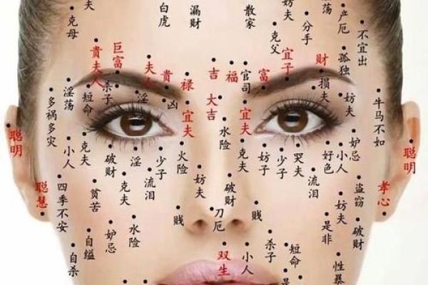 面相解码：揭秘五官背后的命运密码