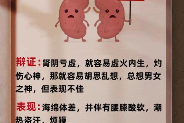 揭秘风水秘密：尿液竟能影响家居运势？