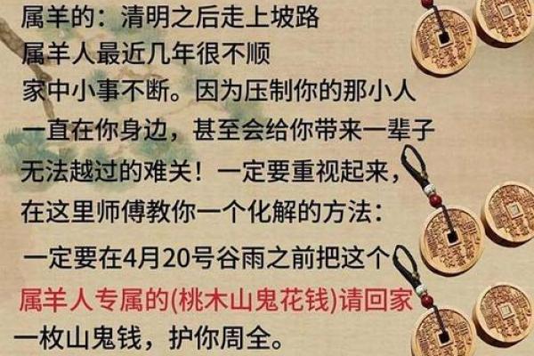 2015羊年运势揭秘：羊命大爆发