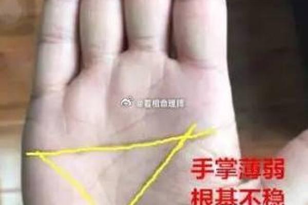 左段长手相：揭秘你的运势与命运