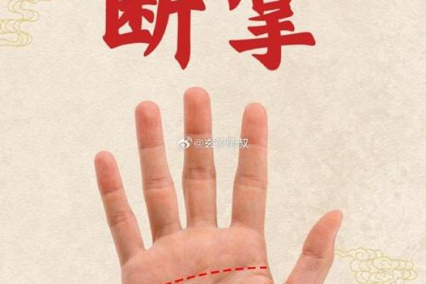左段长手相：揭秘你的运势与命运