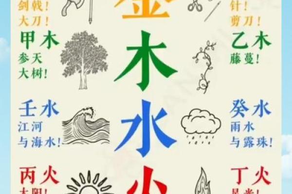 如何通过地支五行破解命运密码