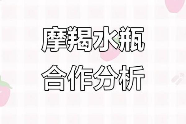 水瓶摩羯相配指数揭秘：完美匹配的秘密武器