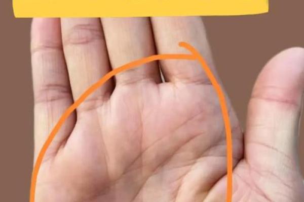 揭秘手机看手相的神奇准度，你敢信吗？