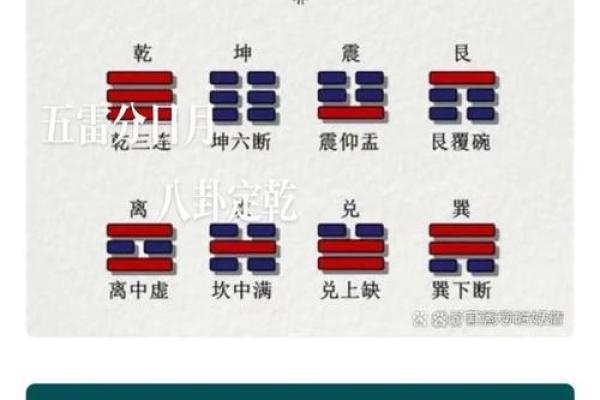 午命在五行命理中的独特位置