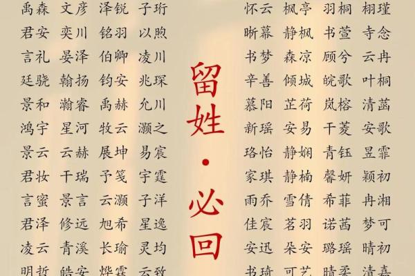 起名高手揭秘：如何为宝宝起个完美名字
