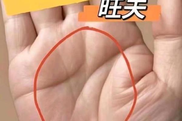 揭秘手相奥秘：手相看生男生女，准确率高达90%