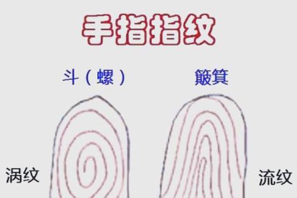 揭秘手相奥秘：手相看生男生女，准确率高达90%