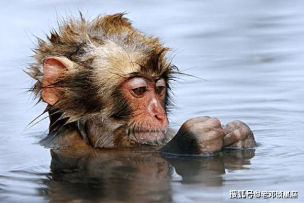 命局奇现，结婚吉兆