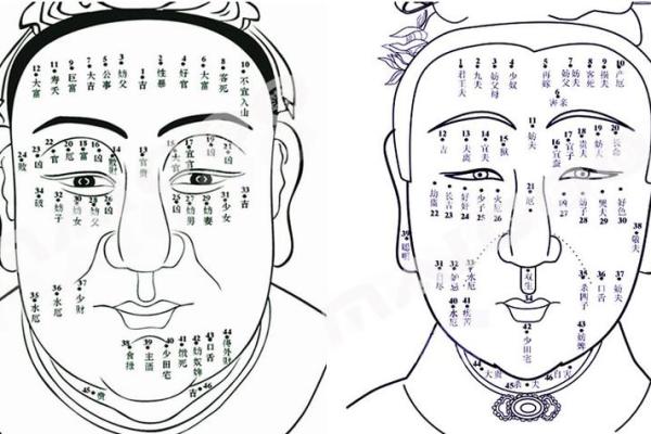 痣相面相学揭秘:男子面部痣相,揭秘性格与运势之谜 痣相面相学揭秘:男子面部痣相,揭秘性格与运势之谜