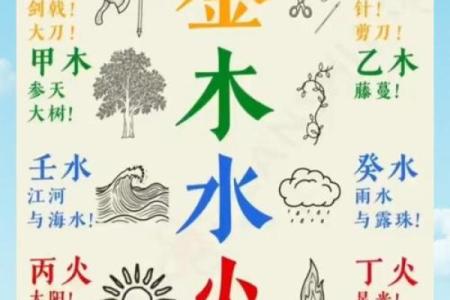 如何通过地支五行破解命运密码