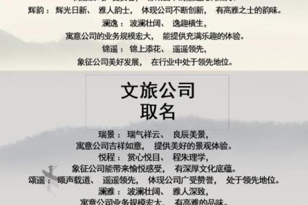 借助专业软件，轻松为公司起个响亮名字