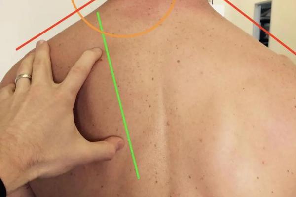 肩胛窝面相揭秘：隐藏的运势密码，你的肩胛窝透露了哪些人生秘密？