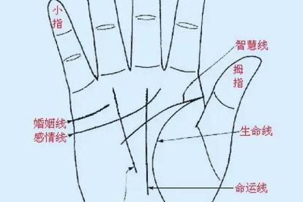 手相揭秘：堕胎痕迹，一秒钟看穿你的过往秘密