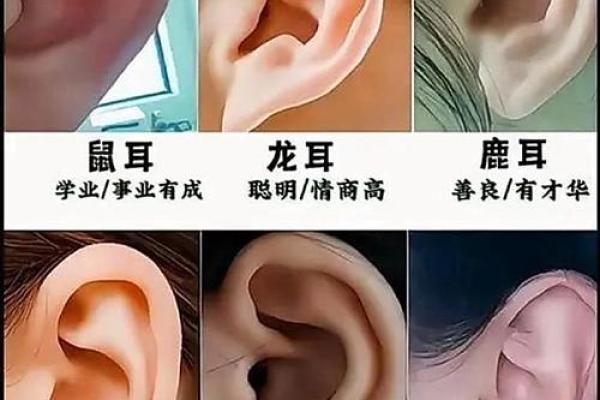 耳听心声，面相揭秘：揭秘耳朵形状背后的运势秘密