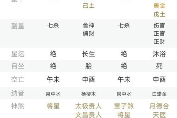 乙木辰月命理对人生的深远影响