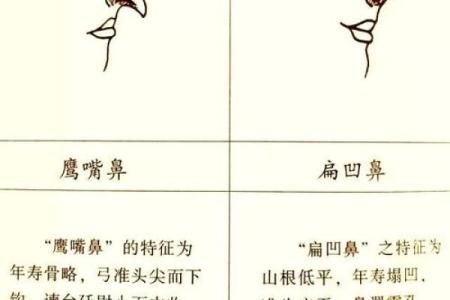 鼻子高耸如峰，揭秘高鼻美女的风水秘密