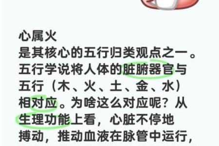 午时为何与五行中的火相连