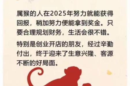 生肖牵缘，探寻你的专属运势生肖