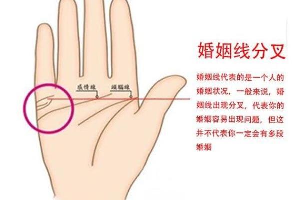 手相揭秘：揭秘你的婚姻命运，看手相真的能预知离婚吗？