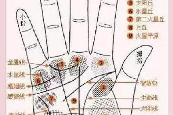 揭秘斜事业线：手相中的事业高峰指南