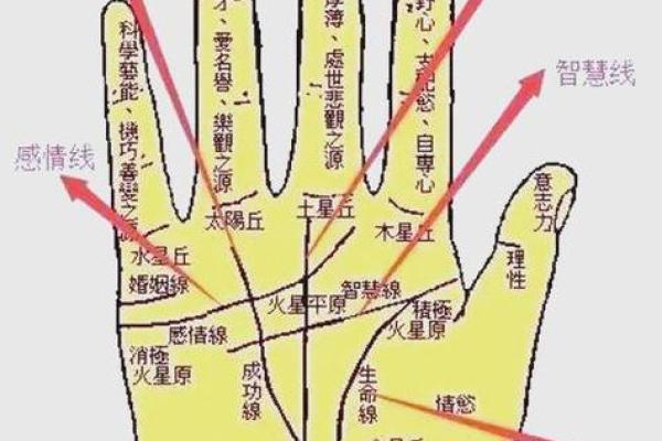 手相揭秘：一招看透你的肾脏健康，惊呆众人